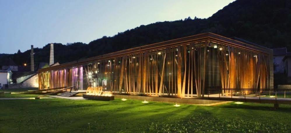 Appart Hotel Charles Sander Salins-les-Bains Exterior foto